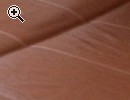 Design Leder Sofa mit Bettfunktion - Vorschaubild 1