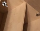 Schrank/Kommode - Vorschaubild 2