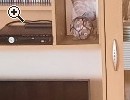 Wohnwand Buche Nachbildung - Vorschaubild 1