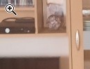 Wohnwand Buche Nachbildung - Vorschaubild 2