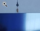 Wohnwand/TV Regal, Top Zustand - Vorschaubild 1