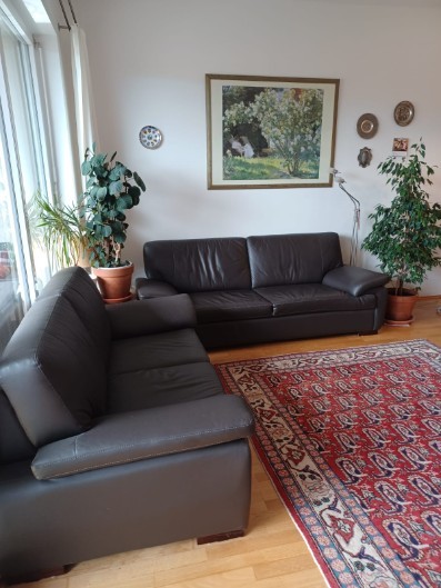 Moderne Ledercouch, 2- und 3 Sitzer - neuwertig