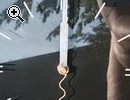 Wanduhr batteriebetrieb - Vorschaubild 1
